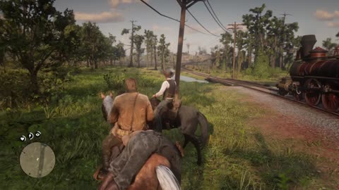 rdr2 walkthrough, the new south mission