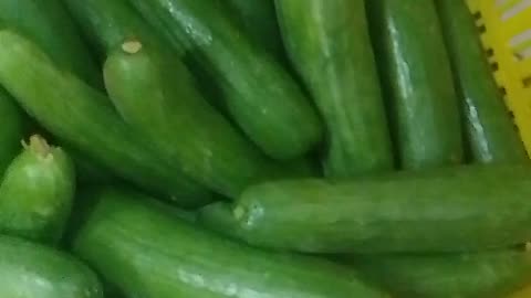 English cucumber in my city