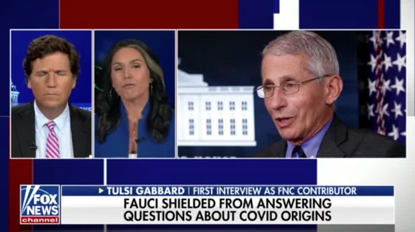 Tulsi Calls Out The White House & Fauci's COVID Misinformation Putting The American People At Risk