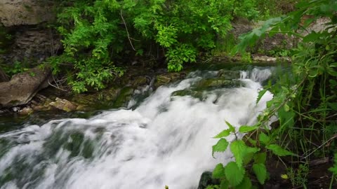 Stream Flowing Over Rocks