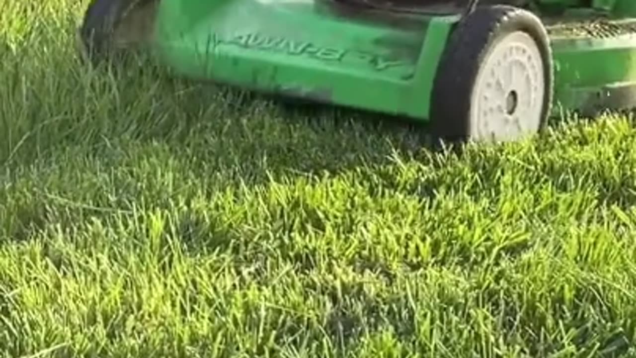 Mowing The Lawn