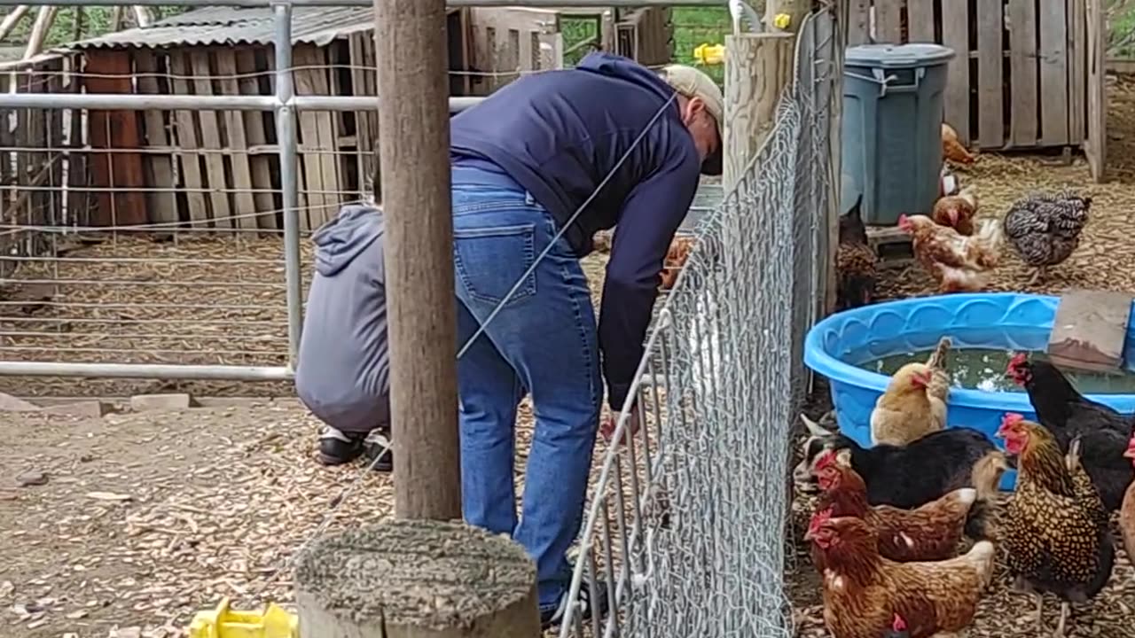 On the farm with family 2