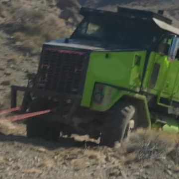 The Amazing Green Turtle