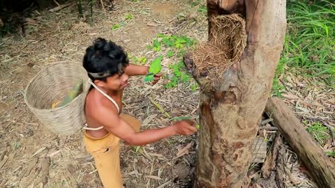 Survival In The Rainforest - BAMBOO SHOOTS - CUTE PARROT - BEES