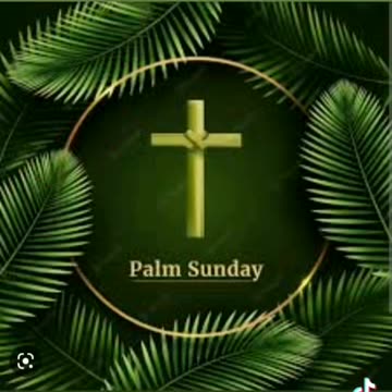 Happy palm Sunday 🙏⛪🌴