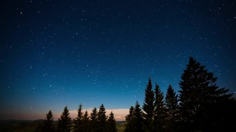 starry sky on a quiet night in the forest Forest Copyright Free Videos Royalty Free Stock Videos