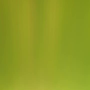 Multicolor background