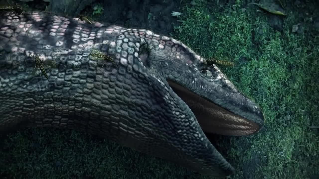 GROSS Dinosaur Stuff