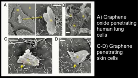 News on Graphene nao particles