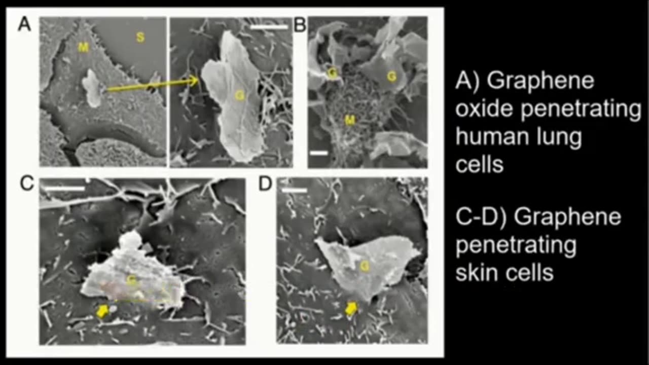 News on Graphene nao particles