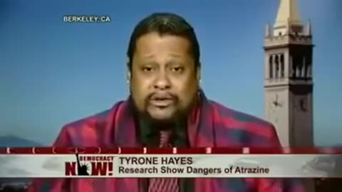 Atrazine turns the frogs gay