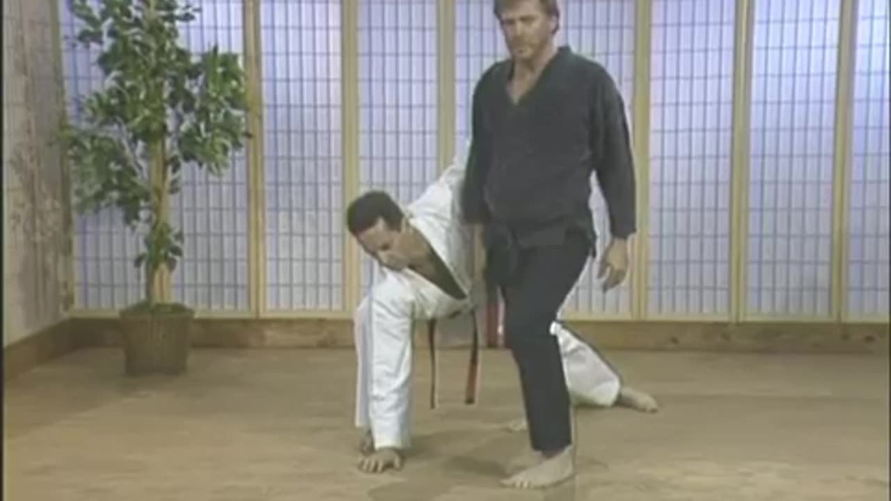 Kenpo Karate