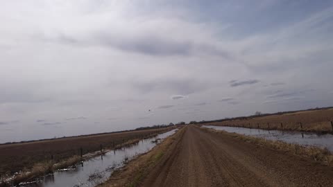 Backroad Cruising