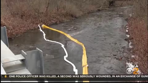 Hundreds of dead fish found “belly up” in East Palestine, Ohio