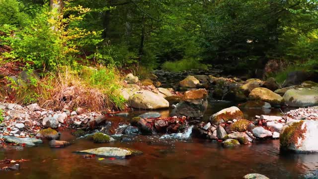 Eduard Glumov - The Dance