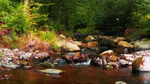 Eduard Glumov - The Dance