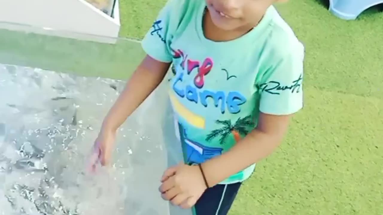 Funny Video