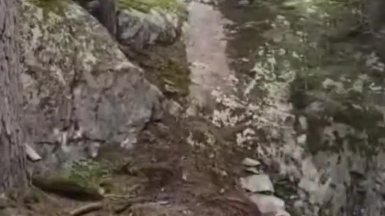 Crazy and Funny Videos!