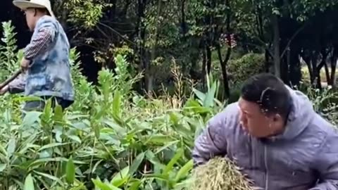 Best Funny Videos 2022, Chinese Funny clips daily
