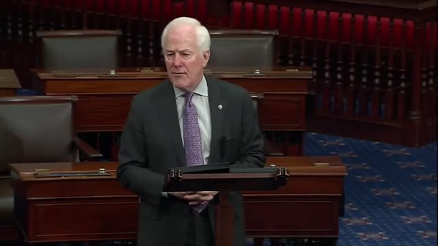 Sen. Cornyn Berates Schumer's 2021 Job Performance