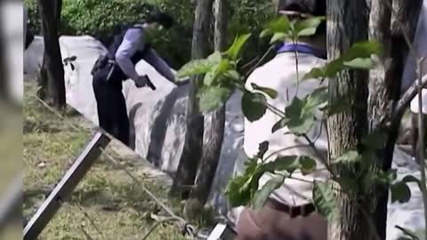 Crazy Man Entered The Lions Cage in Taipei Zoo Horrible News Video of man vs Lion