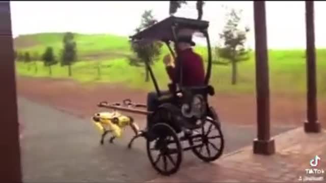 What in the Mother Nature is going on here | Robot carriage | Robotic carriage | Funny Video