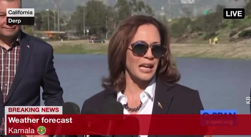 Kamala Harris Caught on Camera Babbling Like a Complete Idiot Again - This Time About Rain Water