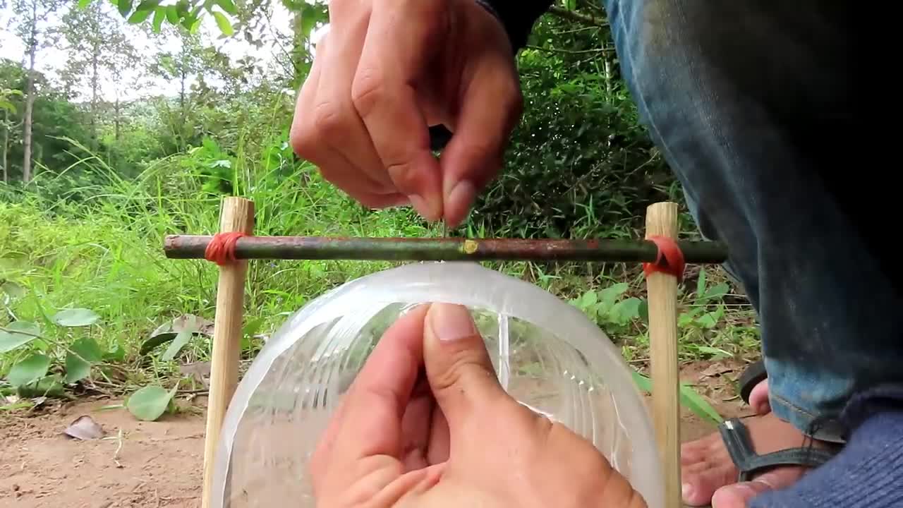 Creative Unique Quick Parrot Trap Using 5 Liters Bottle, Paper And Woods - Bird Trap Working 100%_p3