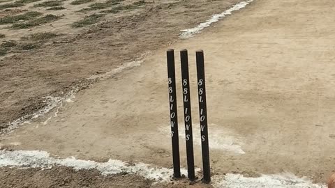 Cricket match
