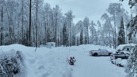 Moving snow with the Beast || Tiny Alaskan cabin, Building a Homestead