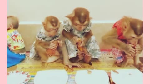 Monkeys family discipline , very funny 😂😂😂