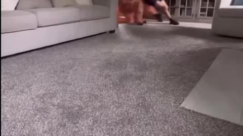 This guy is great! DINOSAURS RULE!