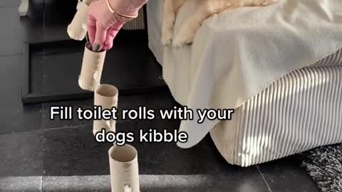 Fun Enrichment for Doggos