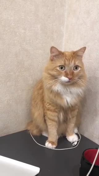 you can't go outside the circle