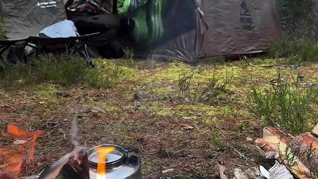 Cook#Nature