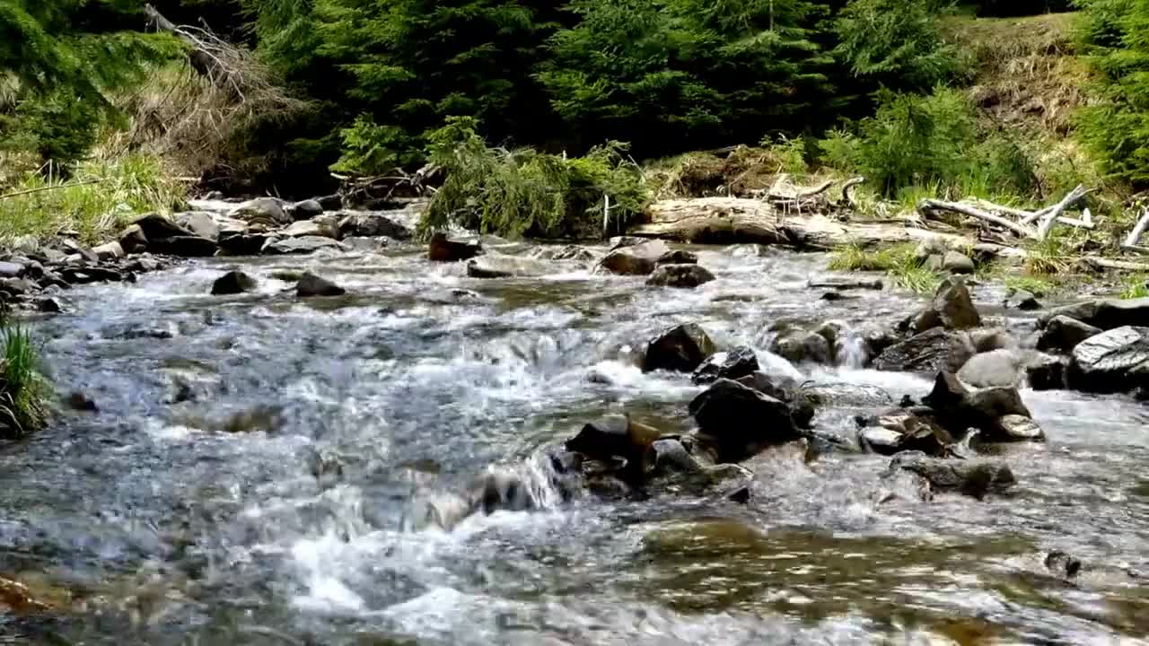 Relaxing Music