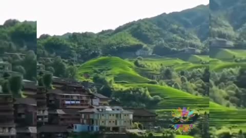 Nature relaxation video| recite Quraan