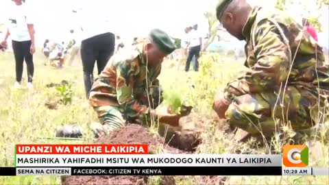 Mashirika ya kutunza misitu yapanda miche 10,000 Laikipia