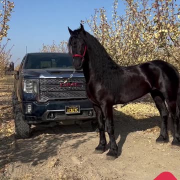 2023 Sierra 1500 Pickup Truck