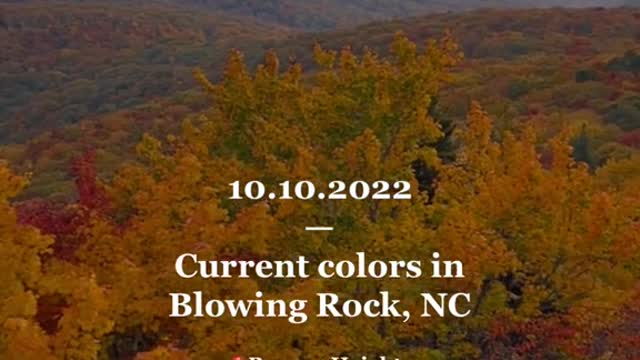 FALL COLOR -UPDATE