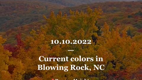 FALL COLOR -UPDATE