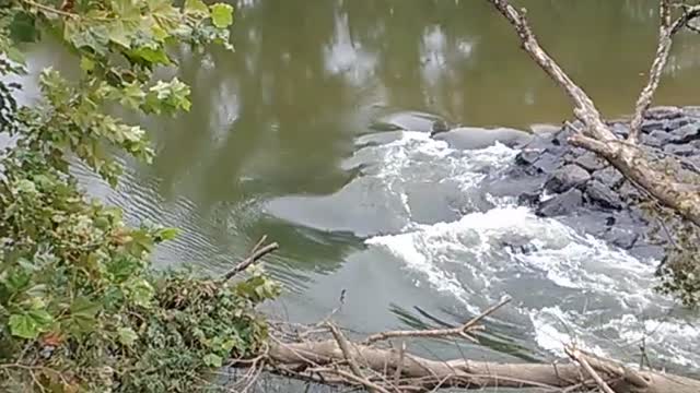 brandywine river flood