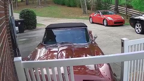 Parking Gone Wrong