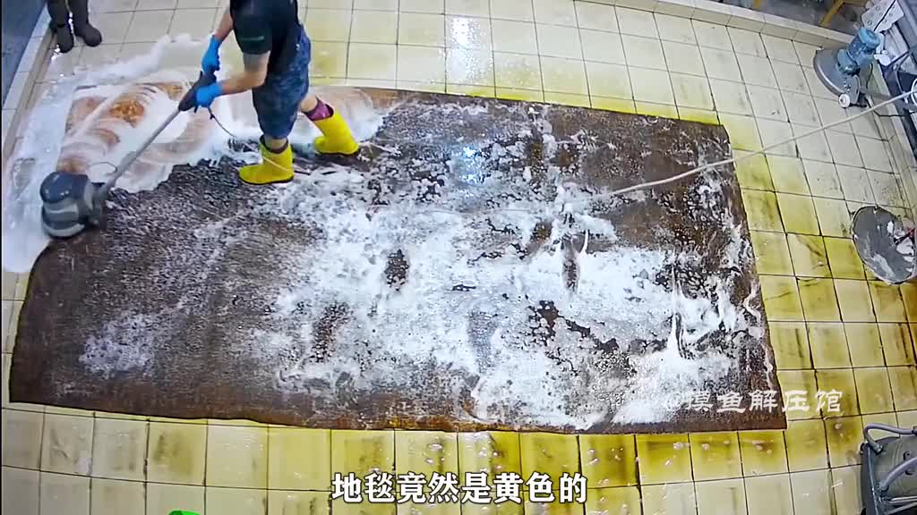 How Dirty Can a Carpet Be