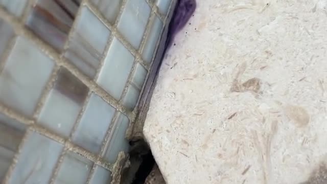 This pool haleaking since it was bulltwo years.ago and no e could find the leak