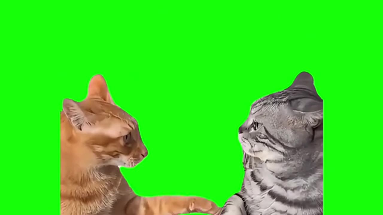 memes