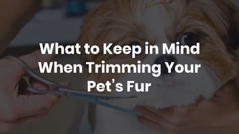 The Art of Pet Fur Trimming: Enhancing Your Pet’s Style and Comfort