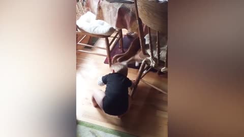 Little black cat pats a child