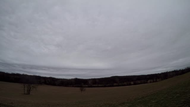 Sun Rise 12 2 22 45f/7c