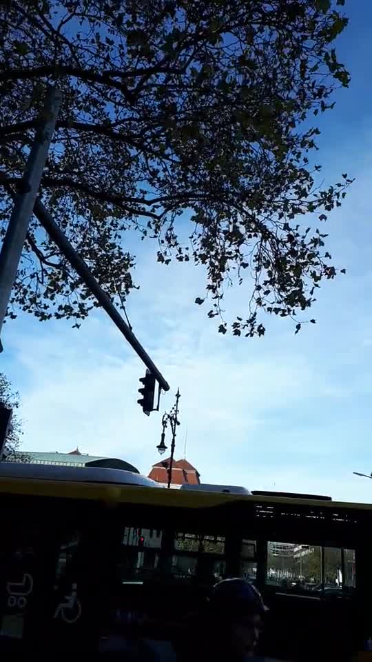 Himmel in Berlin am 8.11. 2022 um 14:08 Uhr